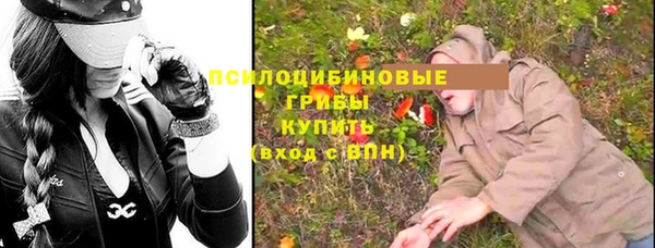 ECSTASY Алексеевка