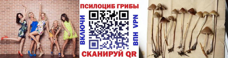 Псилоцибиновые грибы прущие грибы  Карпинск 